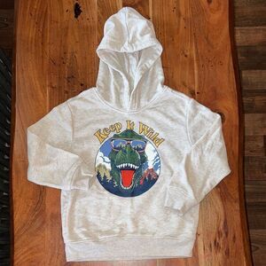 Kids Dinosaur Adventure Hoodie - Gray size 6 youth